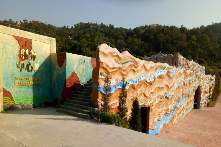 廣東惠東海龜國(guó)家級(jí)自然保護(hù)區(qū)管理局海龜馴養(yǎng)中心項(xiàng)目